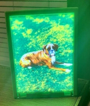 Personalized sublimation t-shirt with custom graphic design featuring pet photo and memorial text for wearable tribute